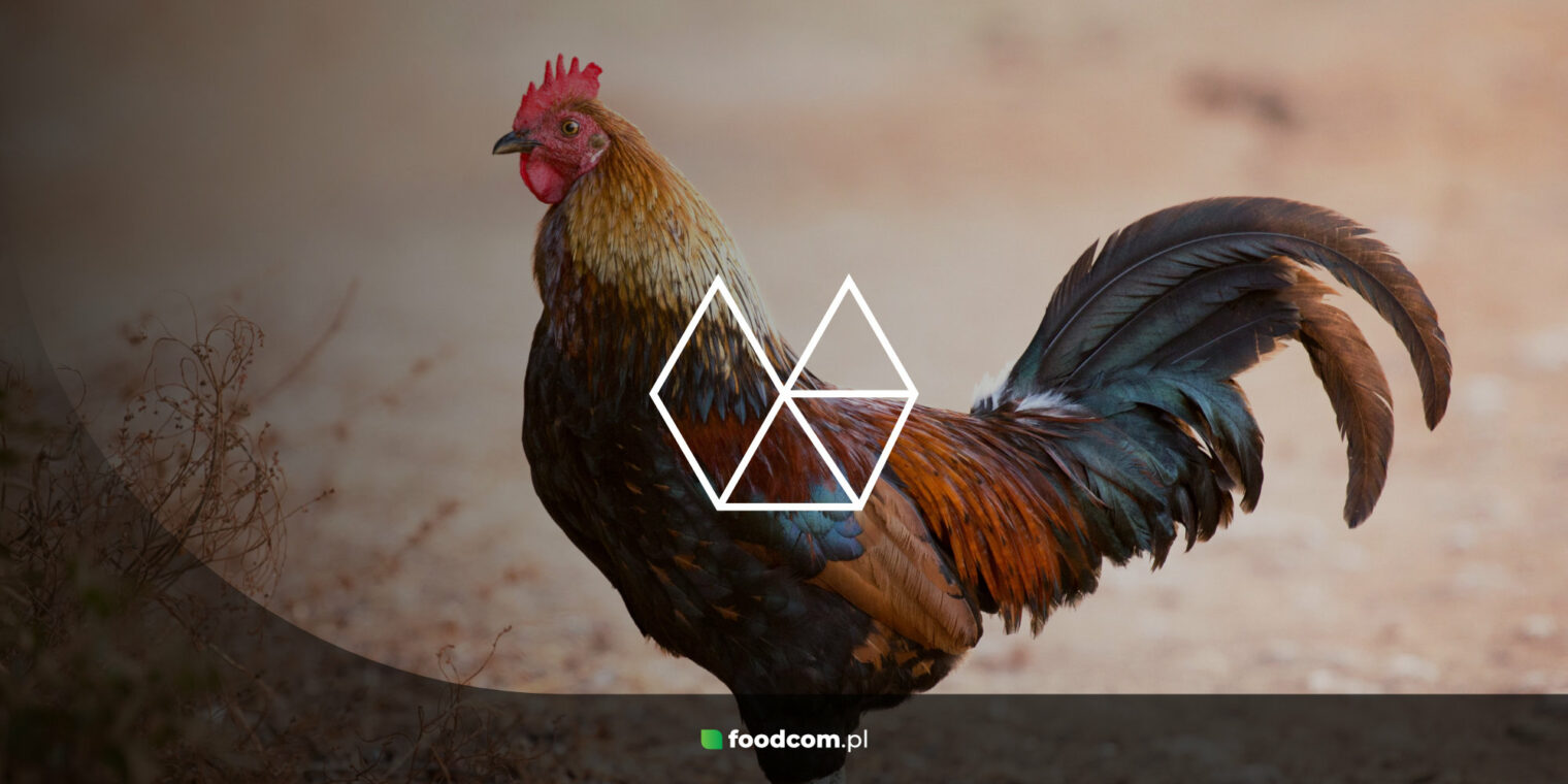 Alfabet Suplementacji Witamin w Żywieniu Zwierząt