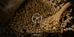 Global market analysis soy Global market analysis soy