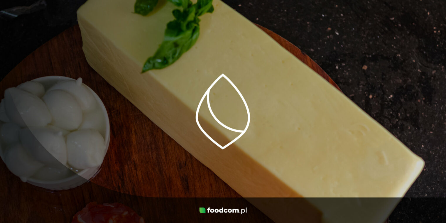 Ser Cagliata. Właściwości i zastosowania jako kluczowy składnik w produkcji serów Ser Cagliata. Właściwości i zastosowania jako kluczowy składnik w produkcji serów