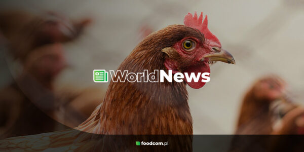 Foodcom S.A. WorldNews Foodcom S.A. WorldNews