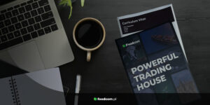 Curriculum Vitae Blog Curriculum Vitae Blog