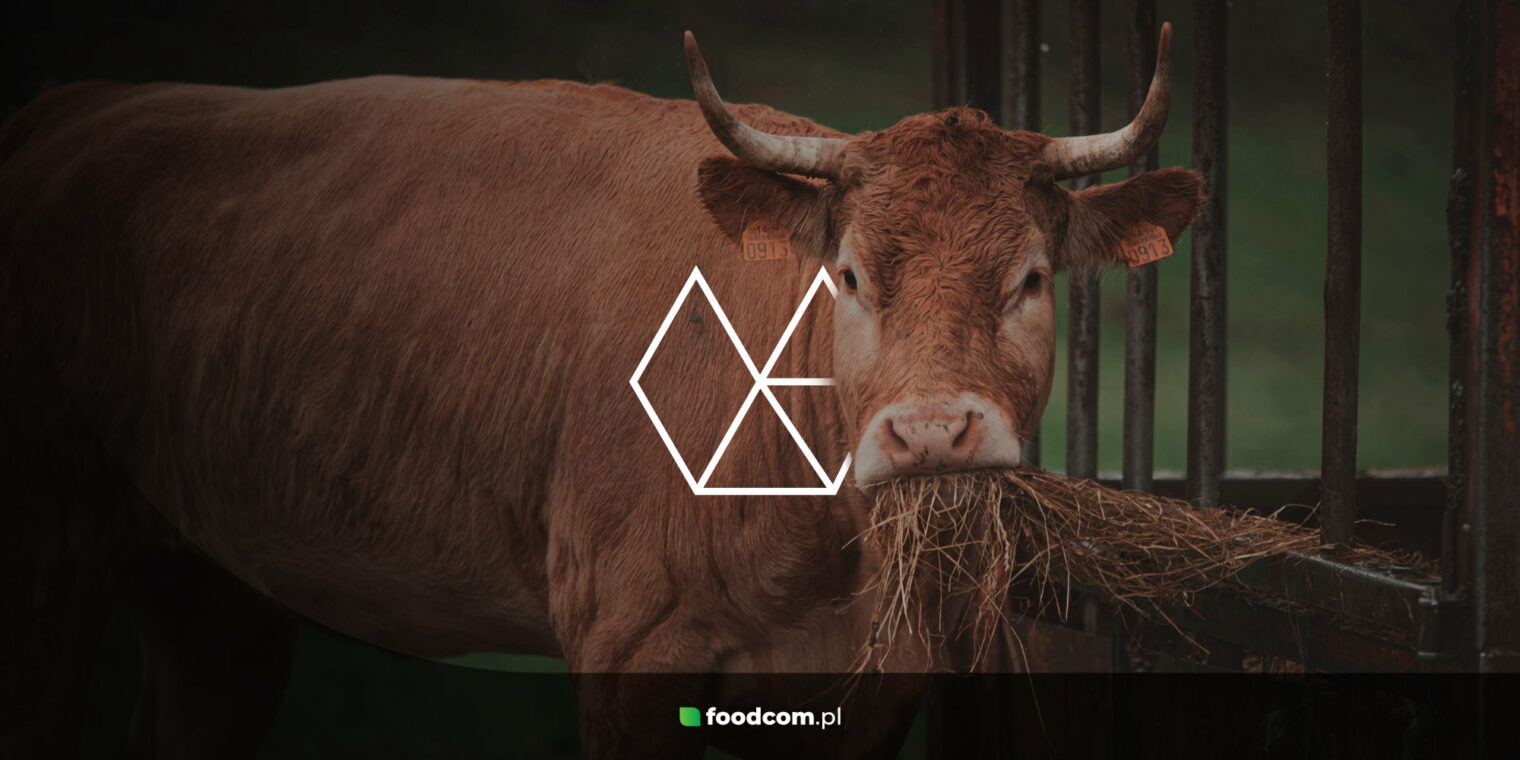 Białko ziemniaczane i tłuszcz zwierzęcy jako cenne składniki odżywcze w żywieniu zwierząt