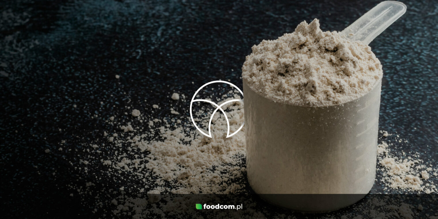 Zastosowanie serwatki i preparatów serwatkowych w przemyśle spożywczym