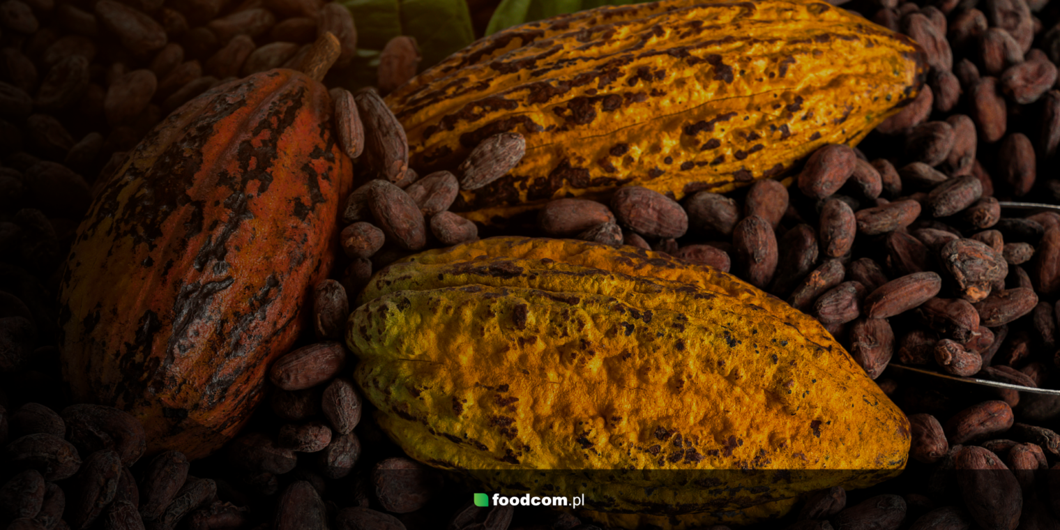 Kakao alkalizowane i niealkalizowane – czym różnią się od siebie rodzaje kakao?