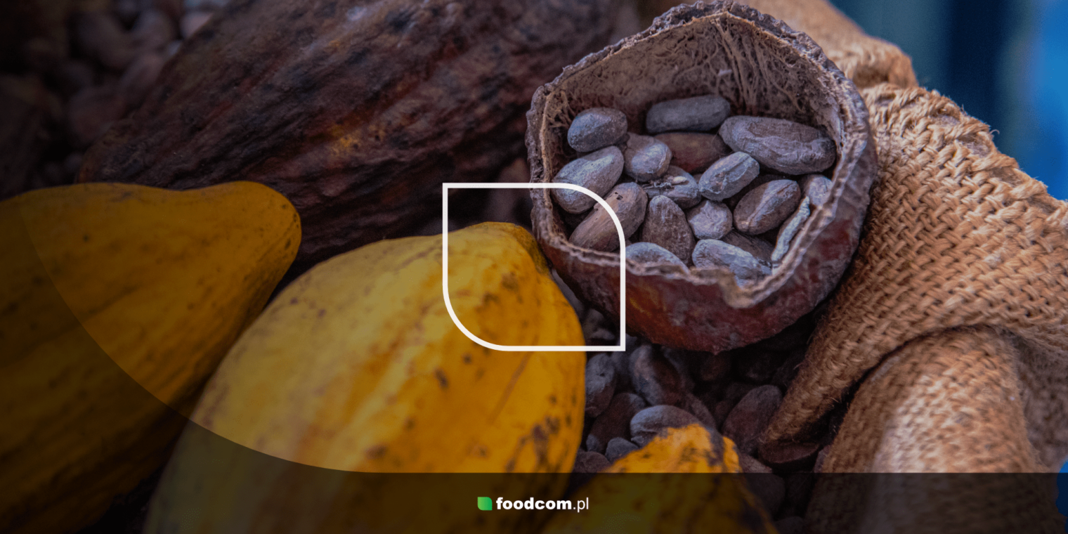 Cocoa market in 2024: a slump that will shake up the industry Cocoa market in 2024: a slump that will shake up the industry