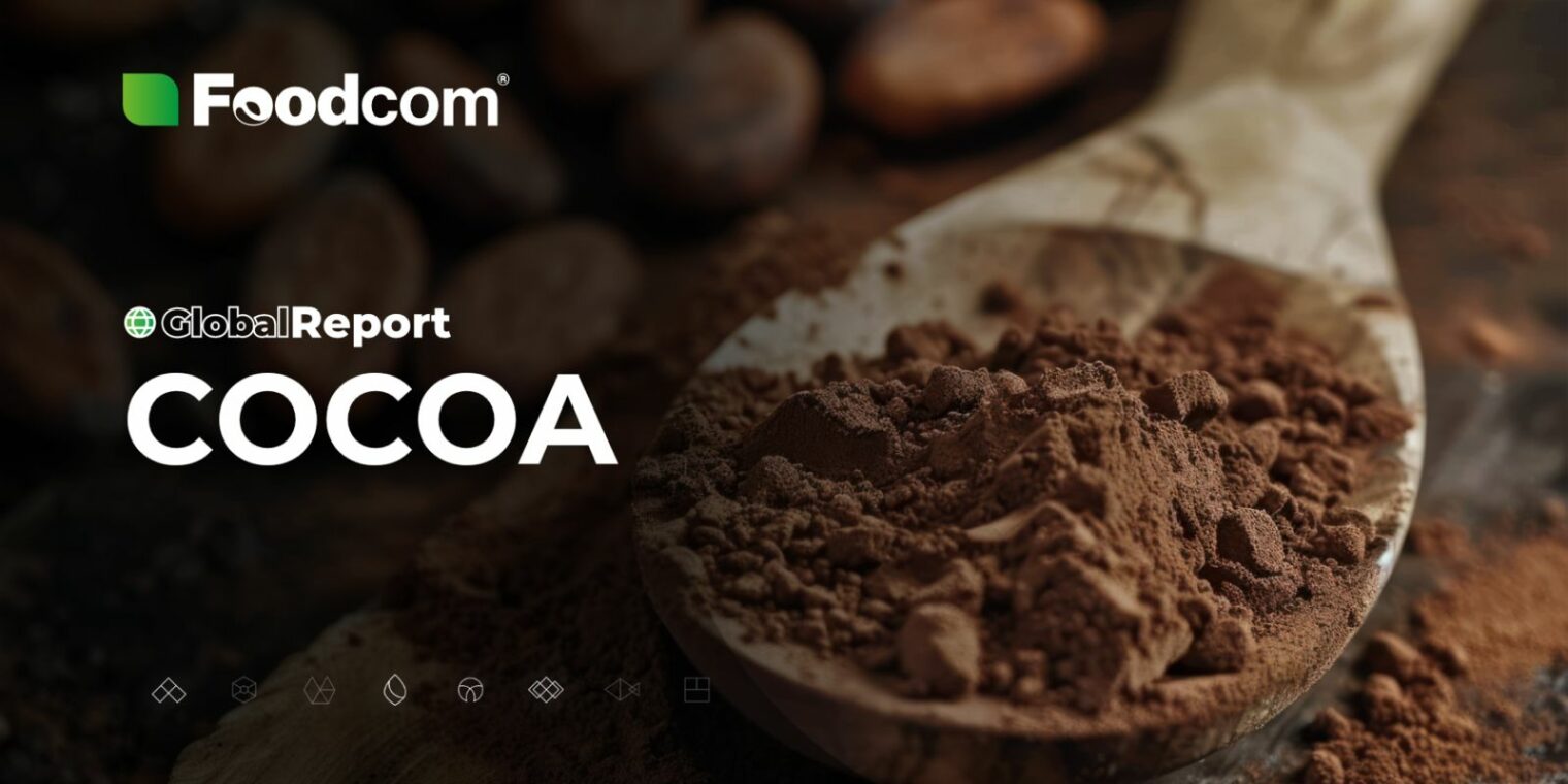 Przegląd rynku kakao w 2024 [Global Report]