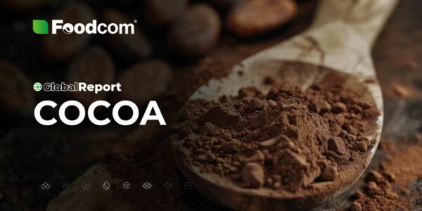Rynek kakao w 2024 - dynamika rynku, analiza Rynek kakao w 2024 - dynamika rynku, analiza